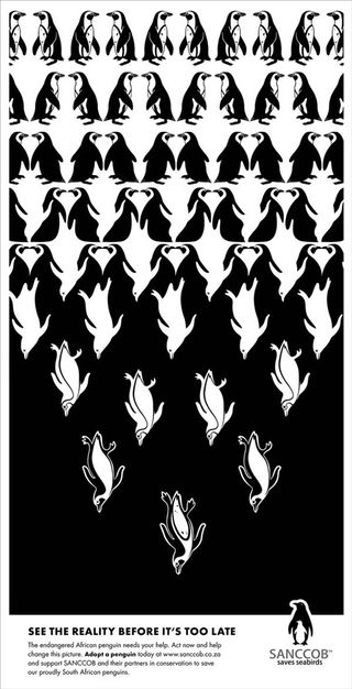 Print adverts: penguin