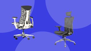 Two pretty great ergonomic chairs. 